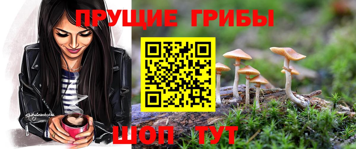 Псилоцибиновые грибы Psilocybine cubensis Ялта