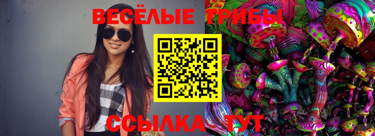 Псилоцибиновые грибы Magic Shrooms  Псилоцибиновые грибы MAGIC MUSHROOMS  Ялта  Вход с VPN 